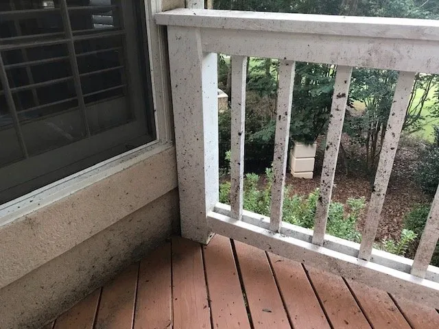 Custom lawn mowing service in Cumming, GA by Lawn Warriors