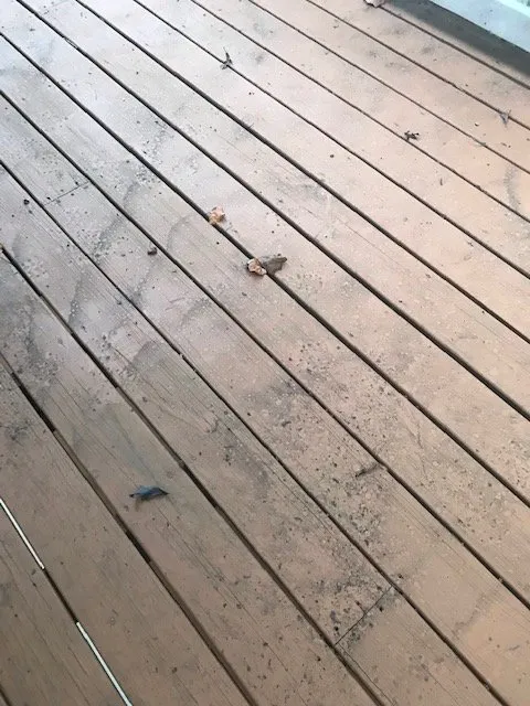 Custom lawn care service in Cumming, GA - Lawn Warriors