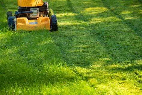 Top-rated yard cleanup service experts serving East Point, GA - Lawn Warriors