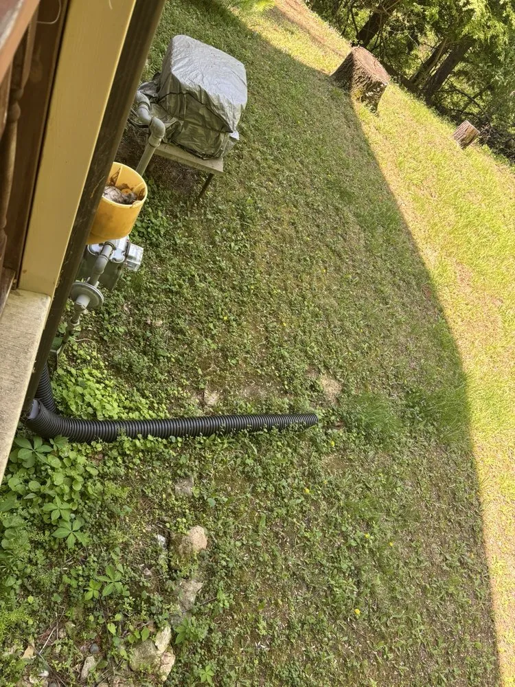 Top-rated garden landscaping for year-round maintenance across Davenport, IA - Lawn Whisperer