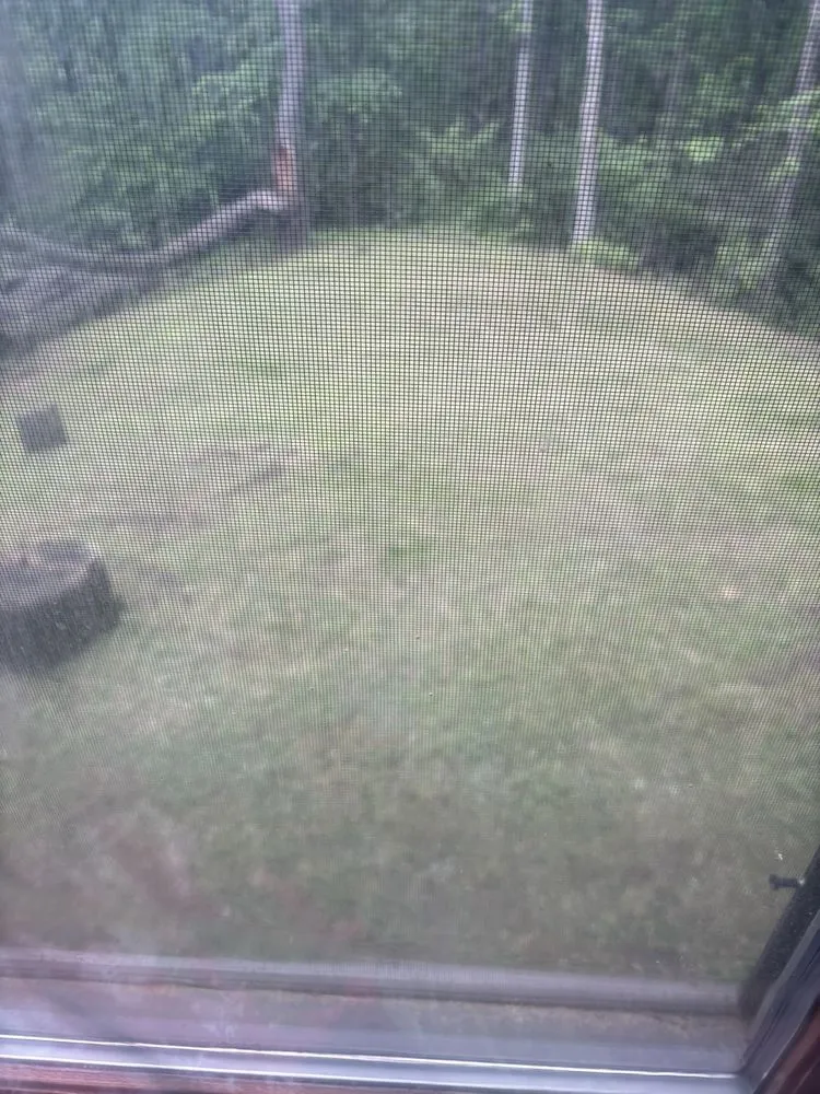 Affordable landscape design experts serving Davenport, IA - Lawn Whisperer