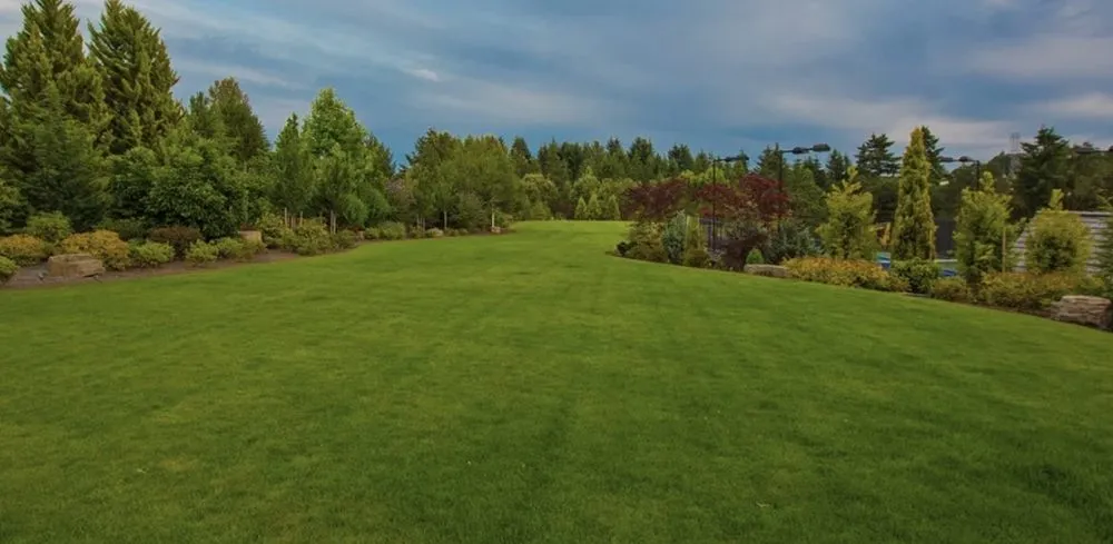 Trusted landscape design near you in Davenport, IA by Lawn Whisperer