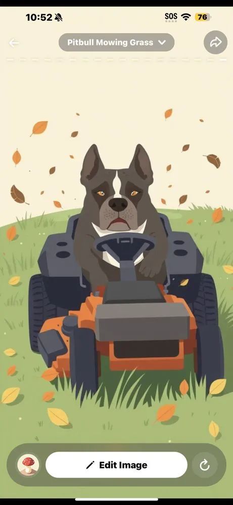 Reliable garden landscaping for year-round maintenance in Davenport, IA by Lawn Whisperer