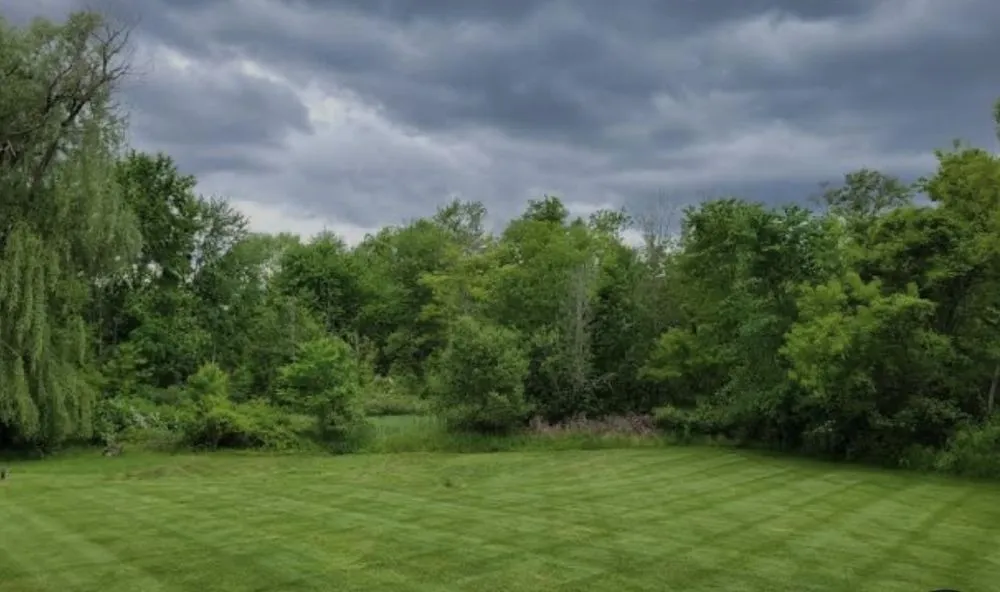 Top-rated lawn care service in Davenport, IA by Lawn Whisperer