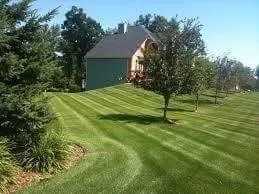 Affordable yard maintenance in Bristol, VA - Lawn Wizard