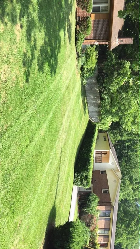 Trusted lawn mowing service experts serving Bristol, VA - Lawn Wizard