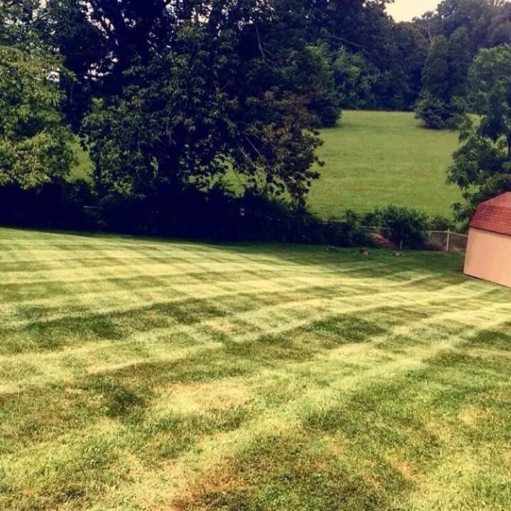 Local lawn mowing service experts serving Bristol, VA - Lawn Wizard