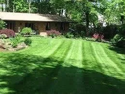 Trusted landscape design in Bristol, VA - Lawn Wizard
