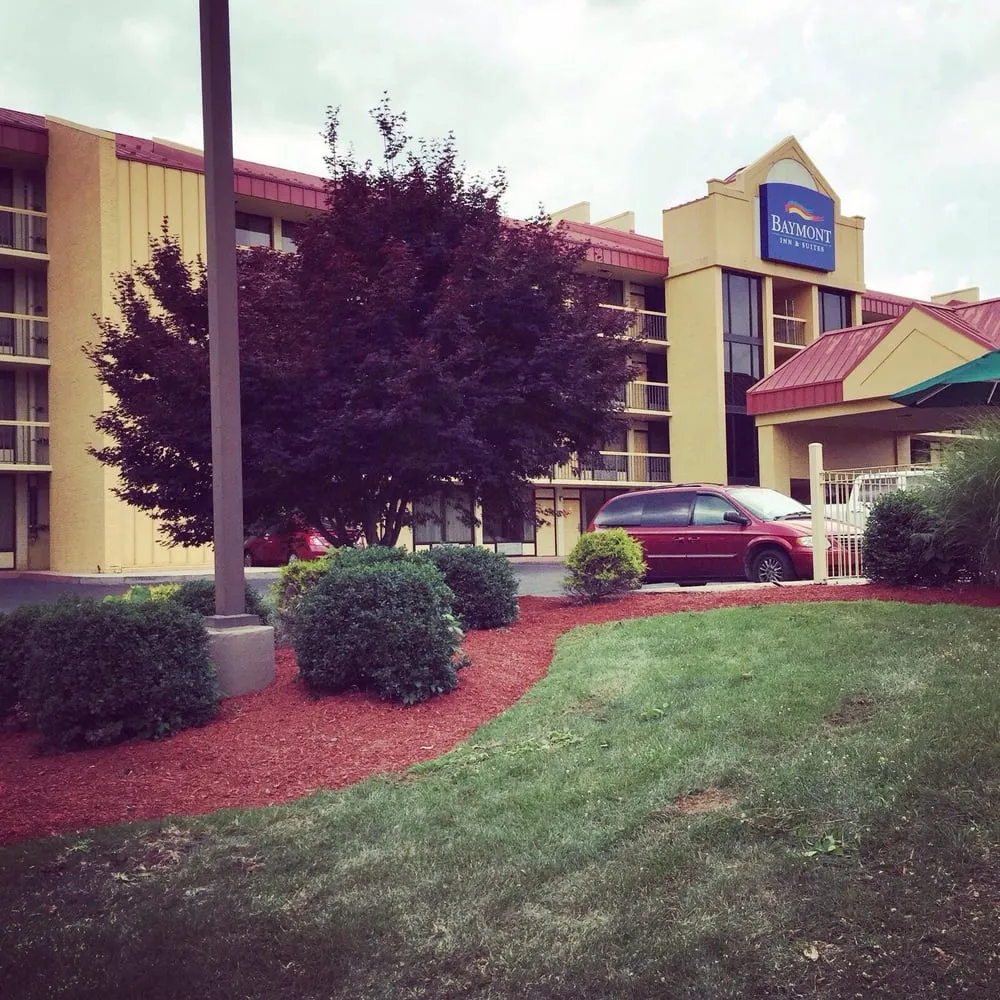 Affordable landscaping services near you across Bristol, VA - Lawn Wizard