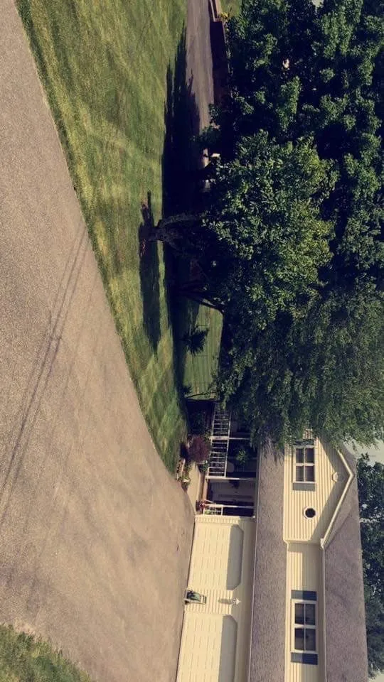 Expert landscaping services experts serving Bristol, VA - Lawn Wizard