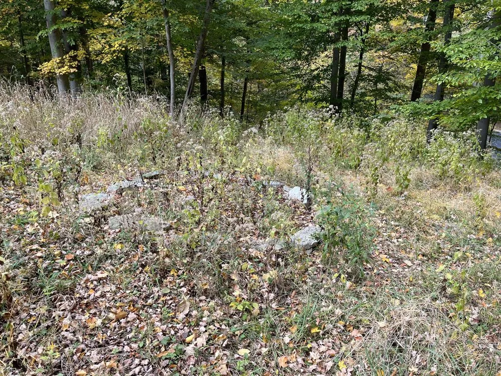 Reliable residential landscaping experts serving Castleton, IN - Lawn Wizard Indy