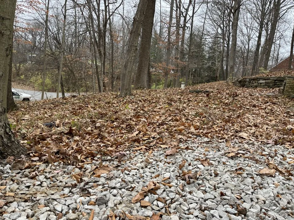 Custom lawn mowing service with custom design in Castleton, IN by Lawn Wizard Indy
