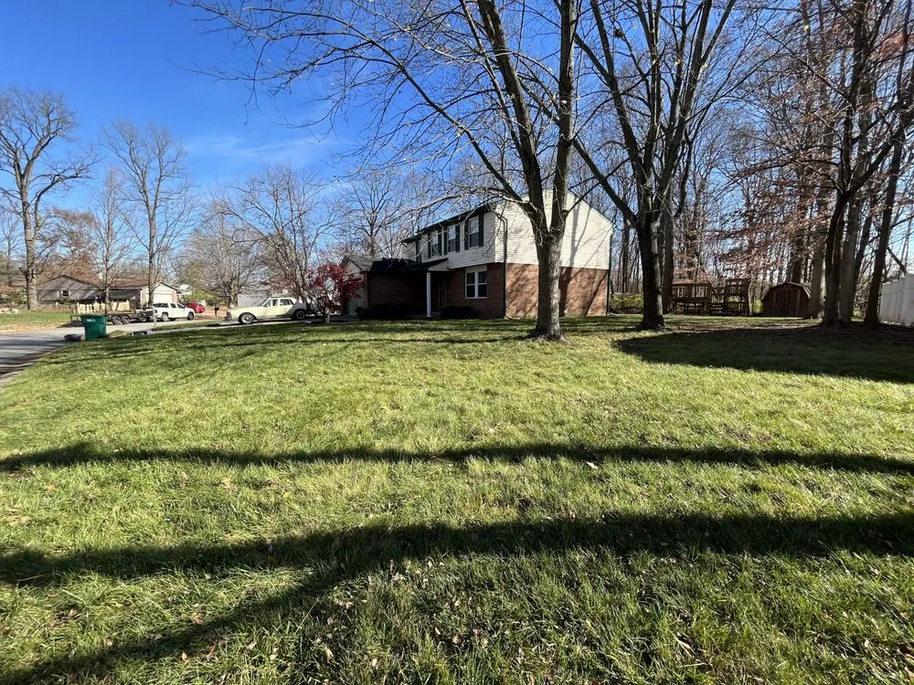 Expert lawn care service in Castleton, IN - Lawn Wizard Indy