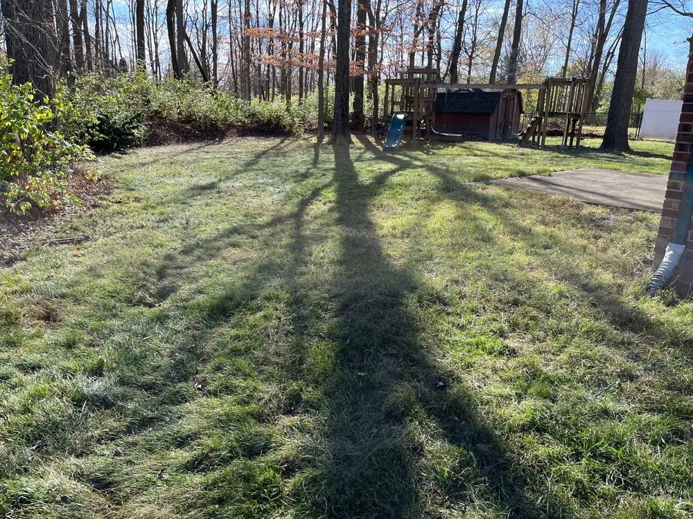 Expert residential landscaping in Castleton, IN - Lawn Wizard Indy