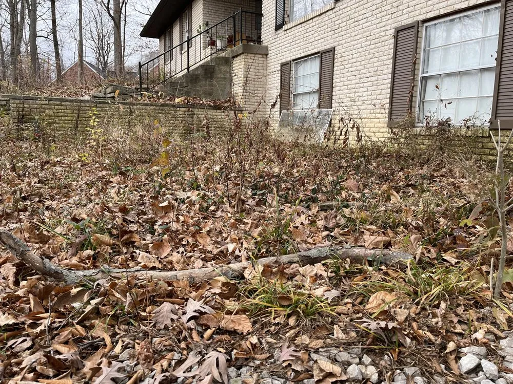 Trusted lawn care service for residential properties in Castleton, IN by Lawn Wizard Indy