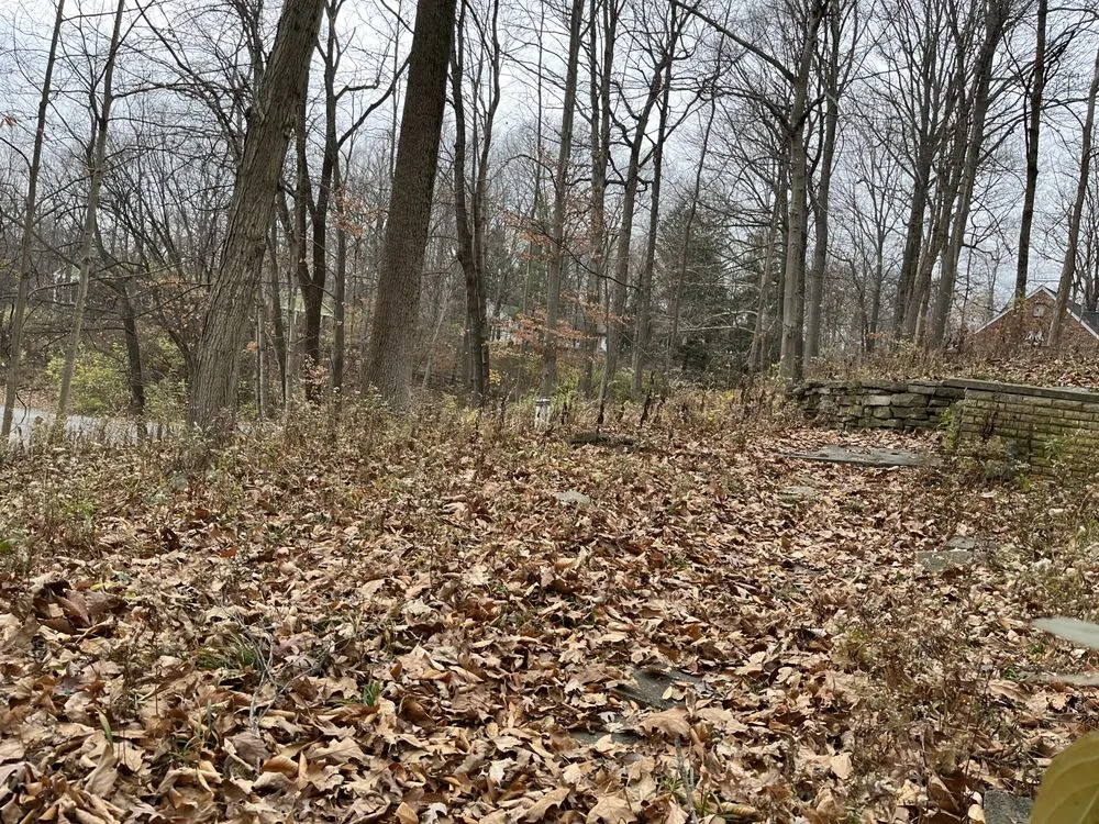 Local residential landscaping for beautiful yards in Castleton, IN by Lawn Wizard Indy