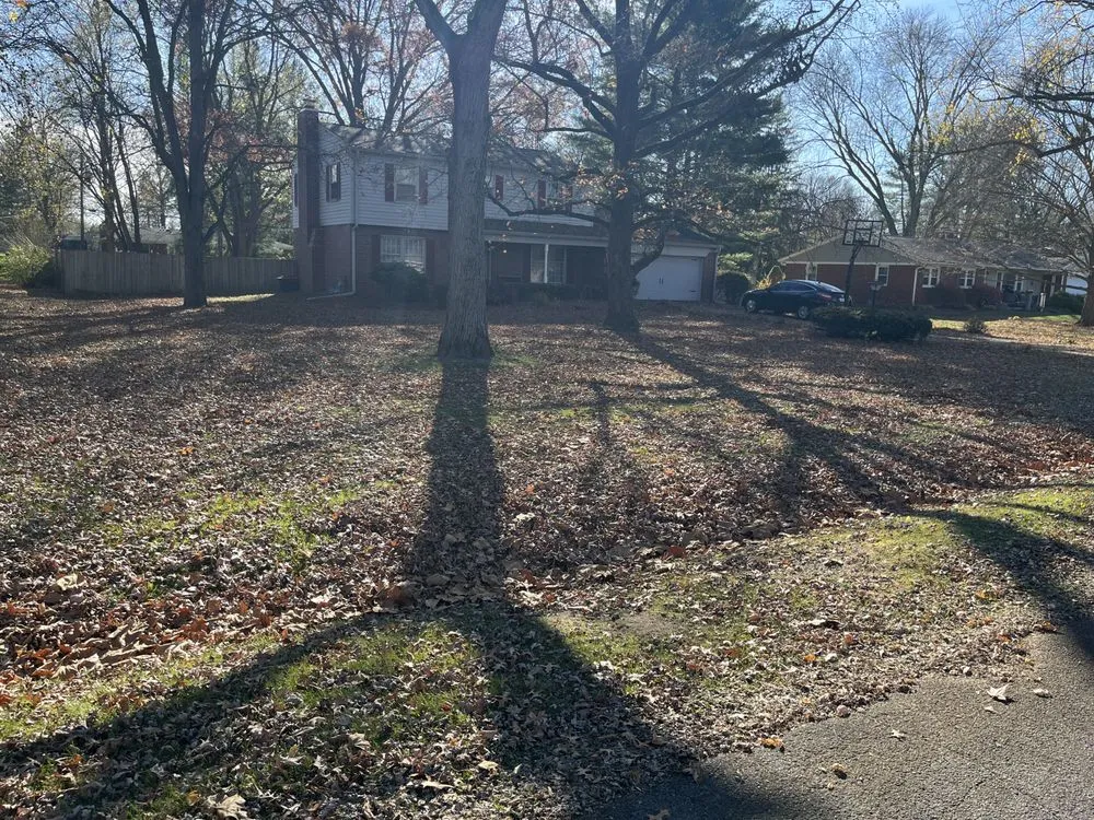 Expert outdoor landscaping in Castleton, IN - Lawn Wizard Indy