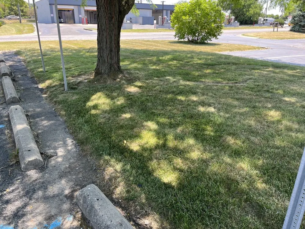 Custom lawn care service experts serving Castleton, IN - Lawn Wizard Indy