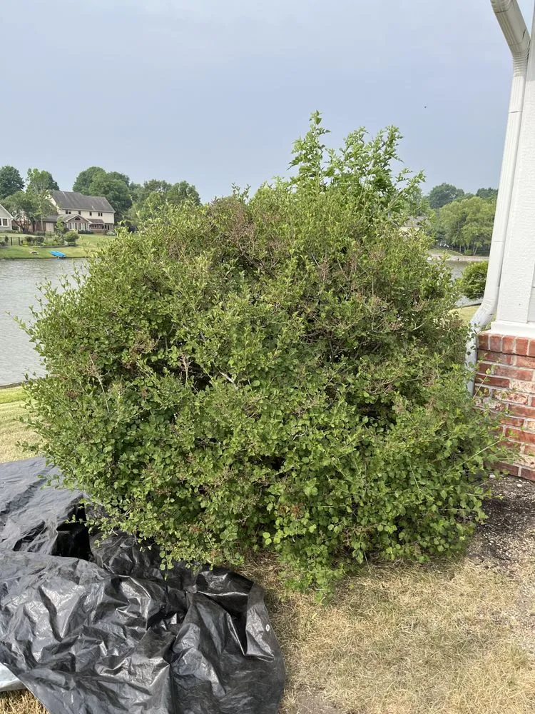 Top-rated lawn mowing service experts serving Castleton, IN - Lawn Wizard Indy