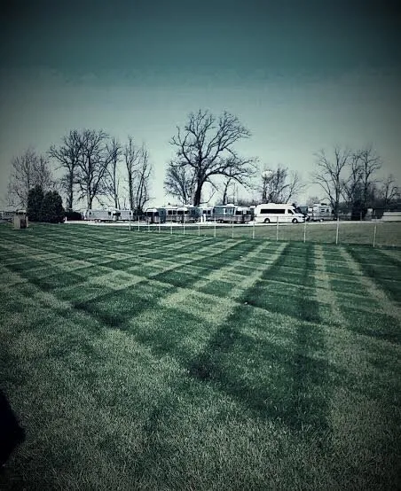 Professional yard cleanup service for beautiful yards in Sidney, OH by Lawn Wizard