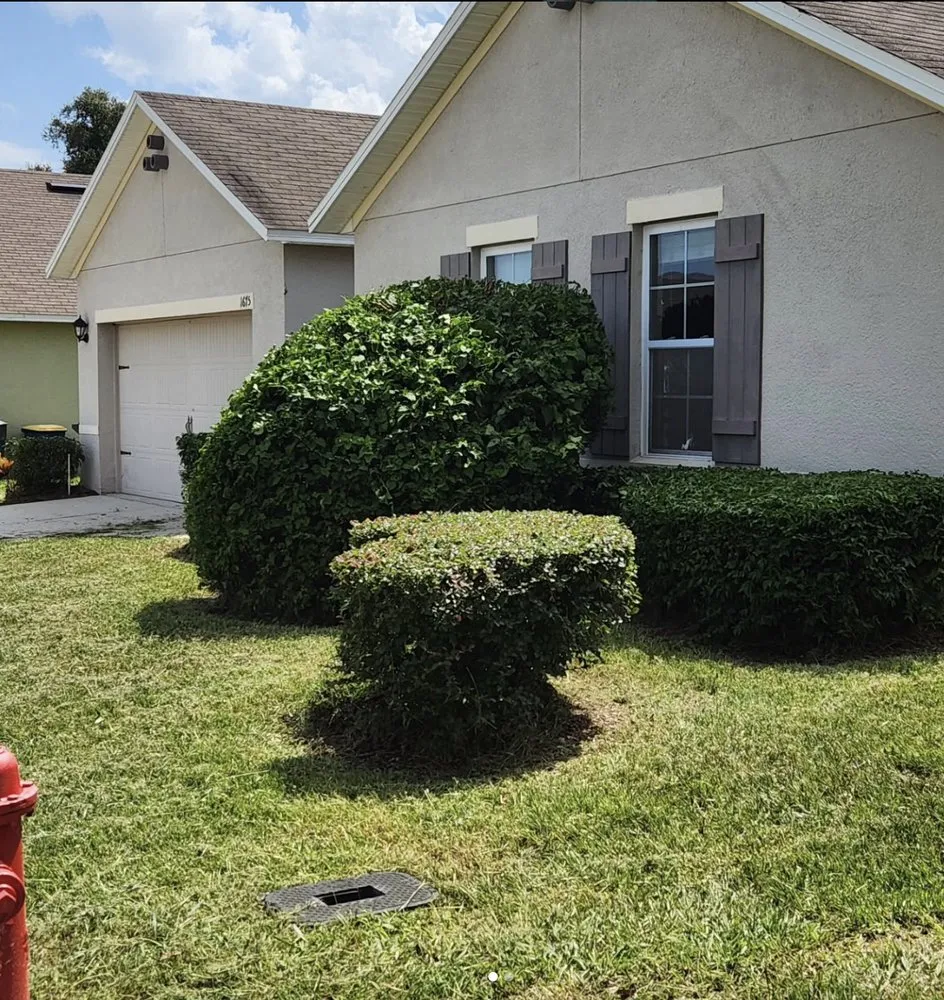 Expert residential landscaping in Bartow, FL by Lawn Wizards