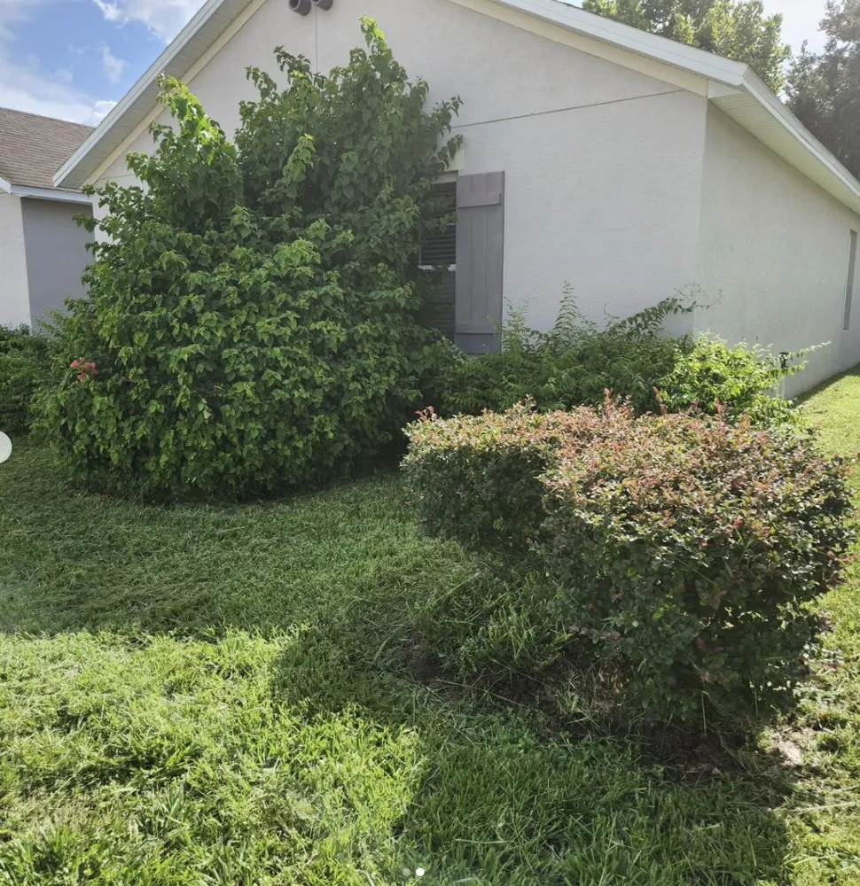 Reliable lawn mowing service in Bartow, FL - Lawn Wizards