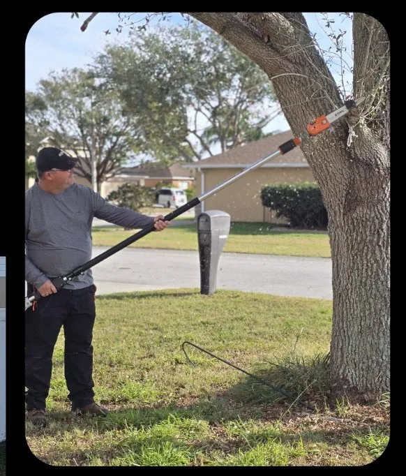 Expert lawn mowing service in Bartow, FL by Lawn Wizards