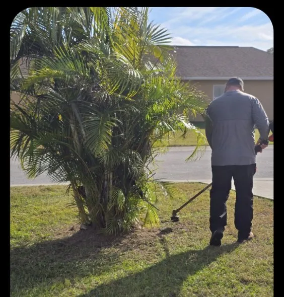 Professional residential landscaping experts serving Bartow, FL - Lawn Wizards