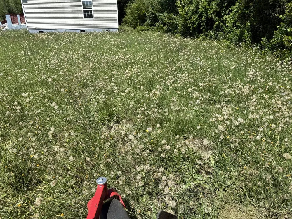 Trusted lawn mowing service in Parkton, NC by Lawn Wolf