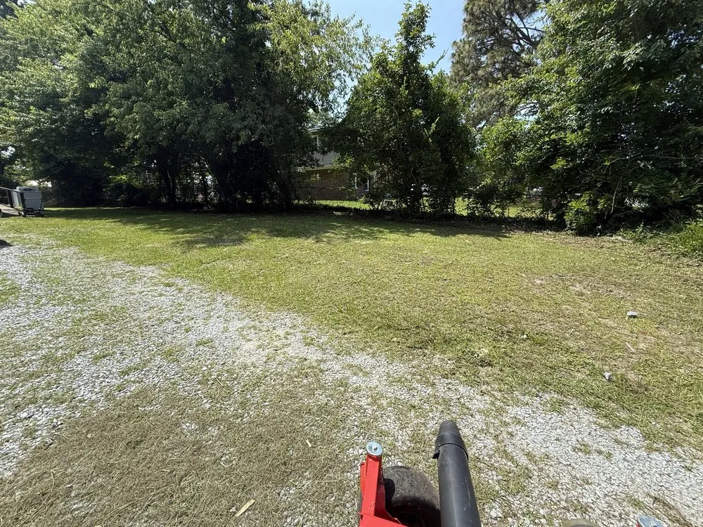 Affordable yard cleanup service experts serving Parkton, NC - Lawn Wolf