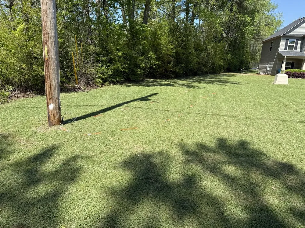 Local lawn care service experts serving Parkton, NC - Lawn Wolf
