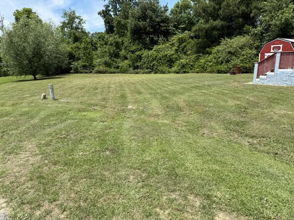 Reliable lawn mowing service in Parkton, NC by Lawn Wolf