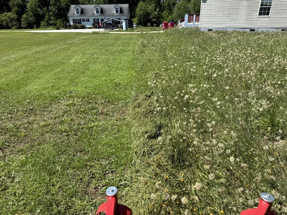 Top-rated landscaping services in Parkton, NC - Lawn Wolf