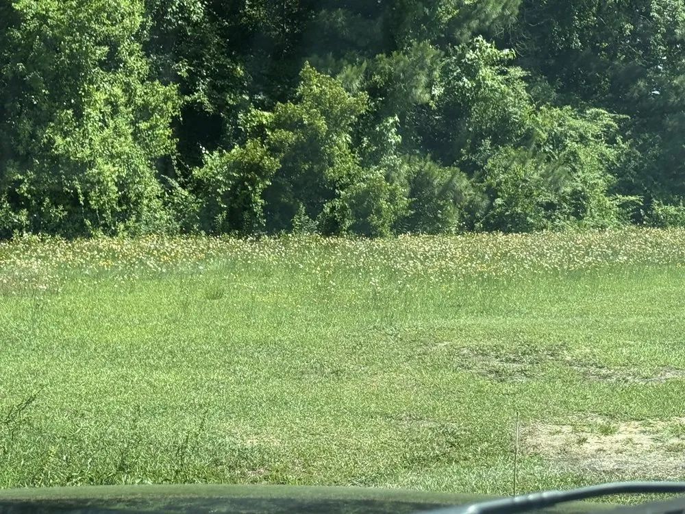 Top-rated yard maintenance in Parkton, NC - Lawn Wolf