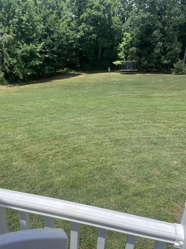 Custom residential landscaping for outdoor upgrades across Roebuck, SC - Lawn Wolf