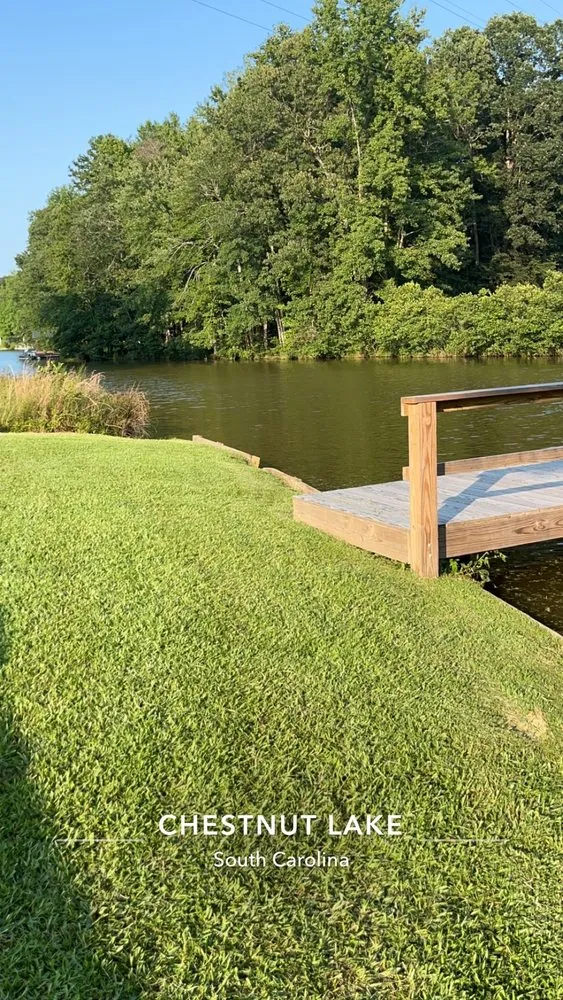 Top-rated lawn mowing service experts serving Roebuck, SC - Lawn Wolf