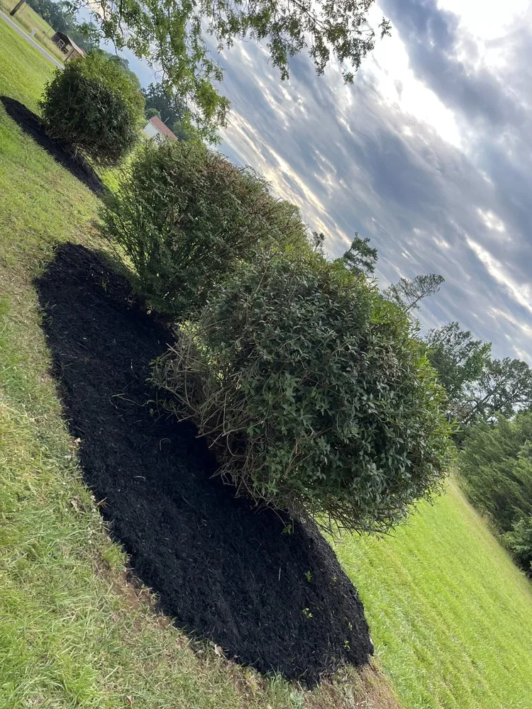 Professional lawn care service experts serving Roebuck, SC - Lawn Wolf