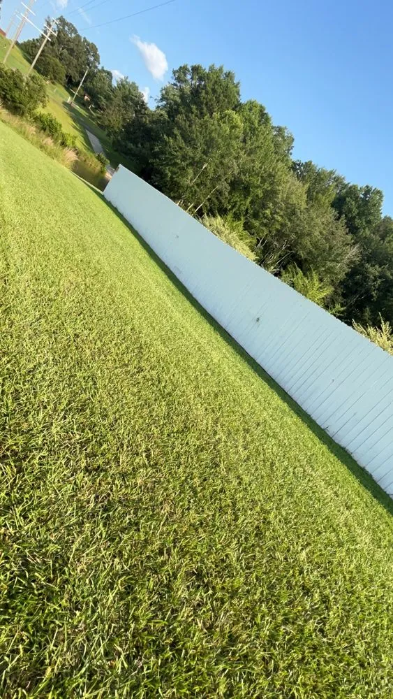 Expert landscaping services in Roebuck, SC - Lawn Wolf