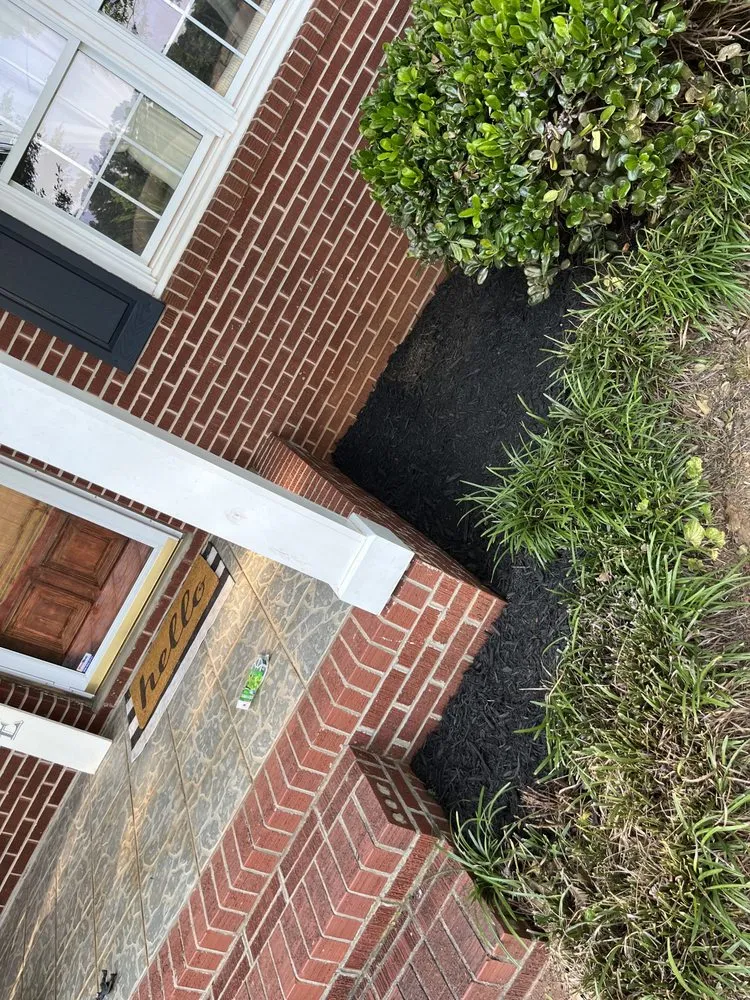 Expert landscape design with custom design across Roebuck, SC - Lawn Wolf