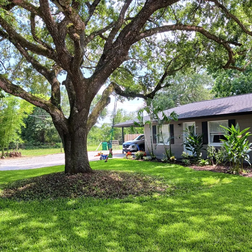 Top-rated yard maintenance for outdoor upgrades across Mims, FL - Lawn Work Fast