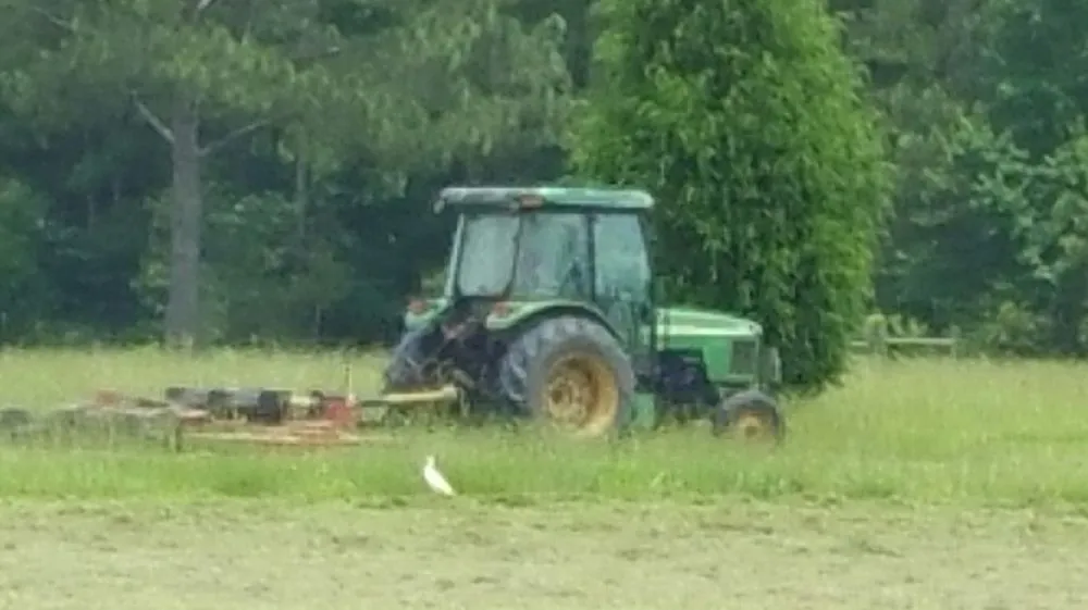 Custom residential landscaping in Carriere, MS - Lawn Works and Technical Services