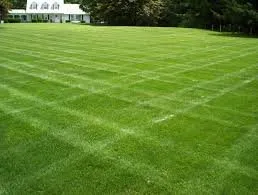 Local lawn mowing service experts serving Jeffersonville, IN - Lawn Works