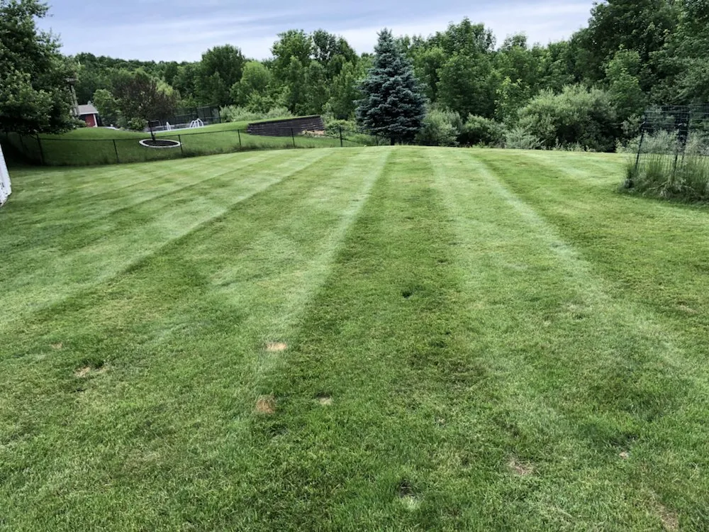 Expert lawn care service in Vestal, NY by Lawn Works Landscaping And Snow Removal