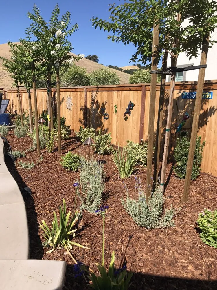 Trusted residential landscaping experts serving Vacaville, CA - Lawn Works Landscaping