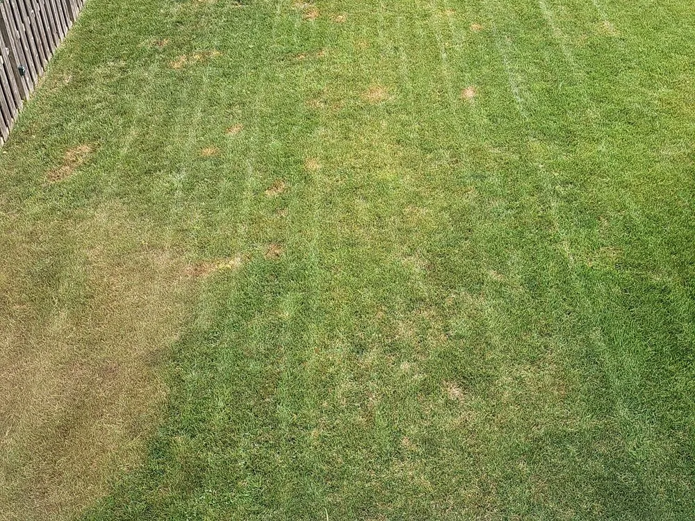 Reliable residential landscaping in Joliet, IL - Lawn Works Of Joliet