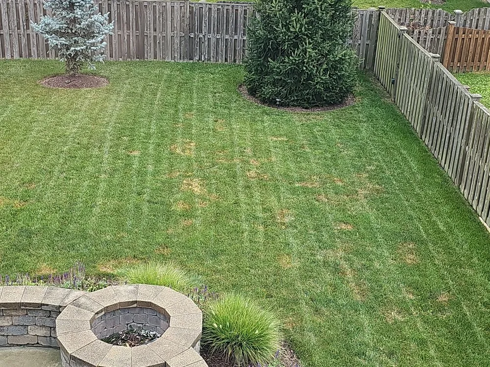 Expert yard maintenance for residential properties in Joliet, IL by Lawn Works Of Joliet