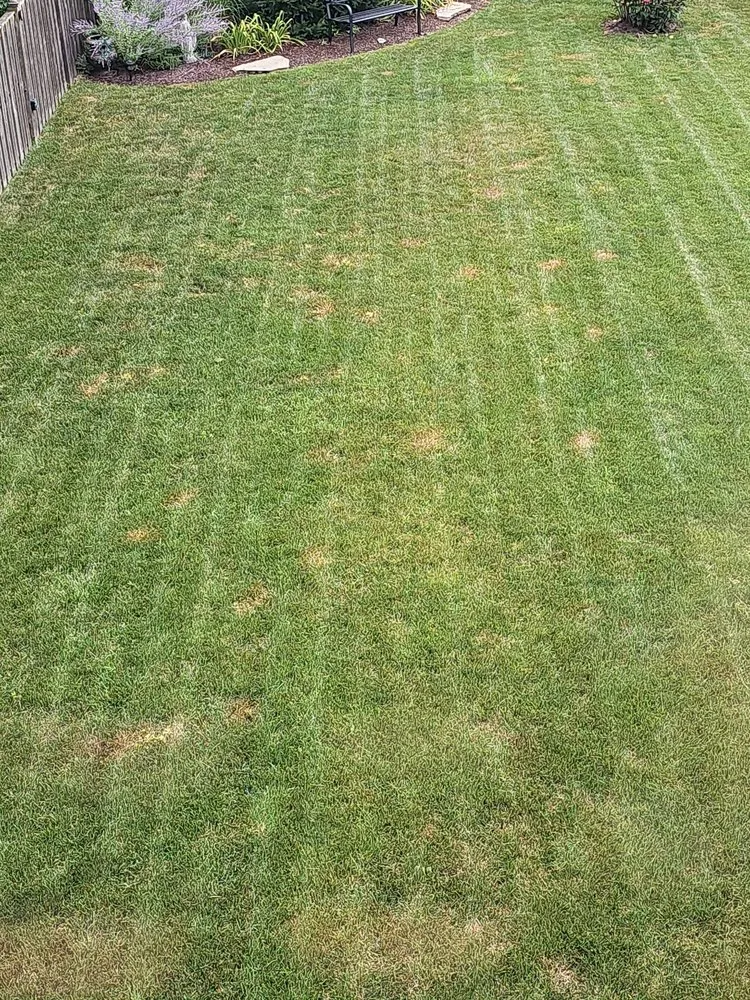 Trusted landscape installation in Joliet, IL by Lawn Works Of Joliet