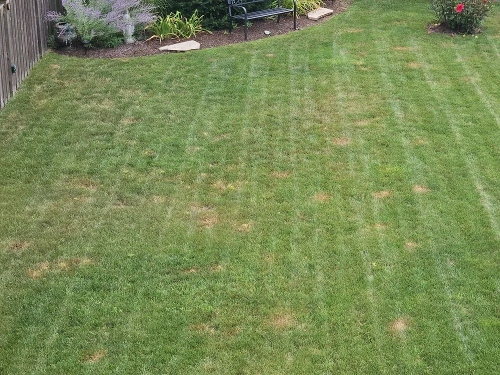 Custom lawn mowing service in Joliet, IL - Lawn Works Of Joliet