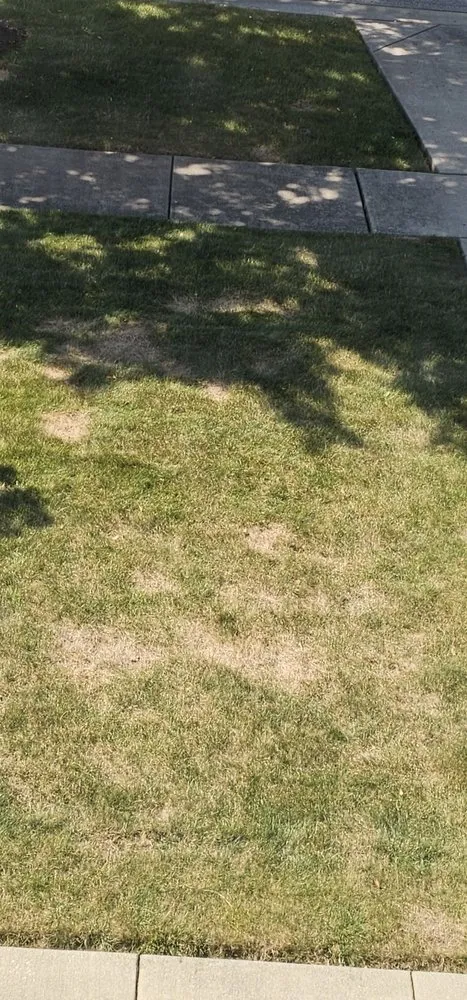 Top-rated landscaping services in Joliet, IL - Lawn Works Of Joliet