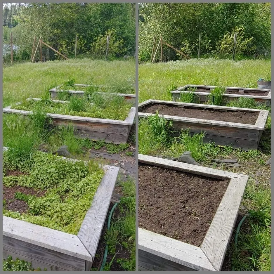 Affordable outdoor landscaping near you across Athol, ID - Lawn Wrangler